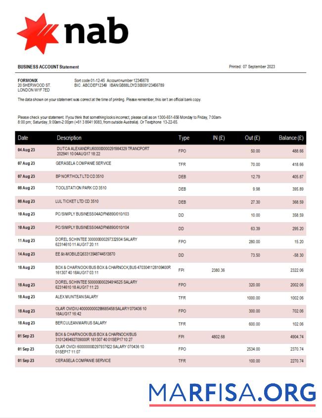 Printable NAB Bank company account statement Word and PDF template